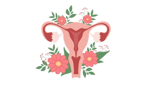 à quoi ça ressemble un cycle menstruel équilibré?